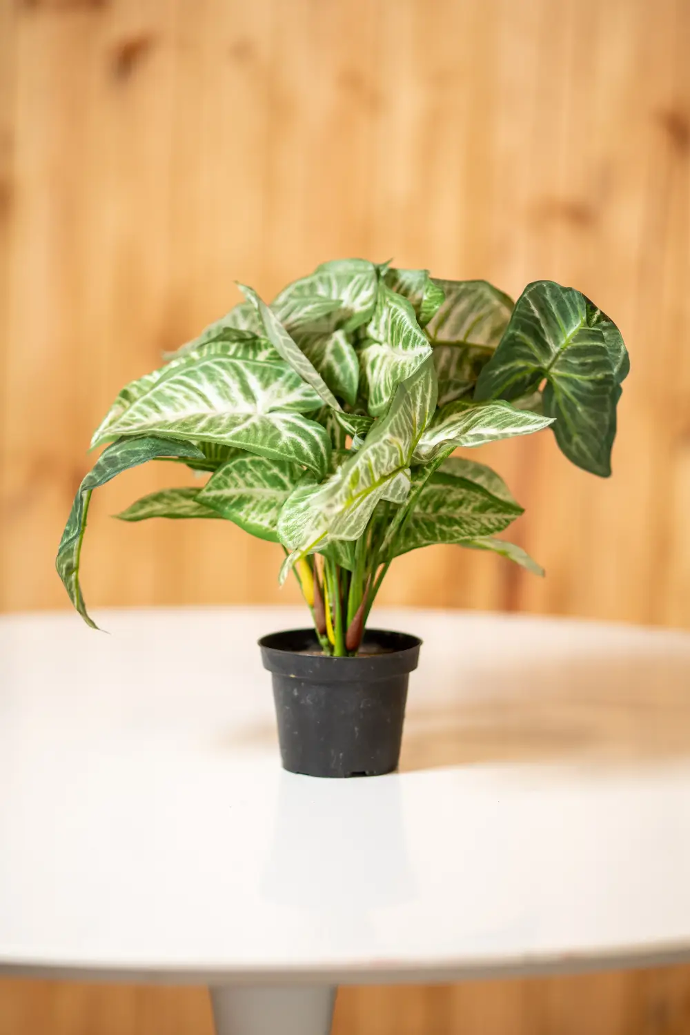 Mākslīgais augs PHILODENDRON