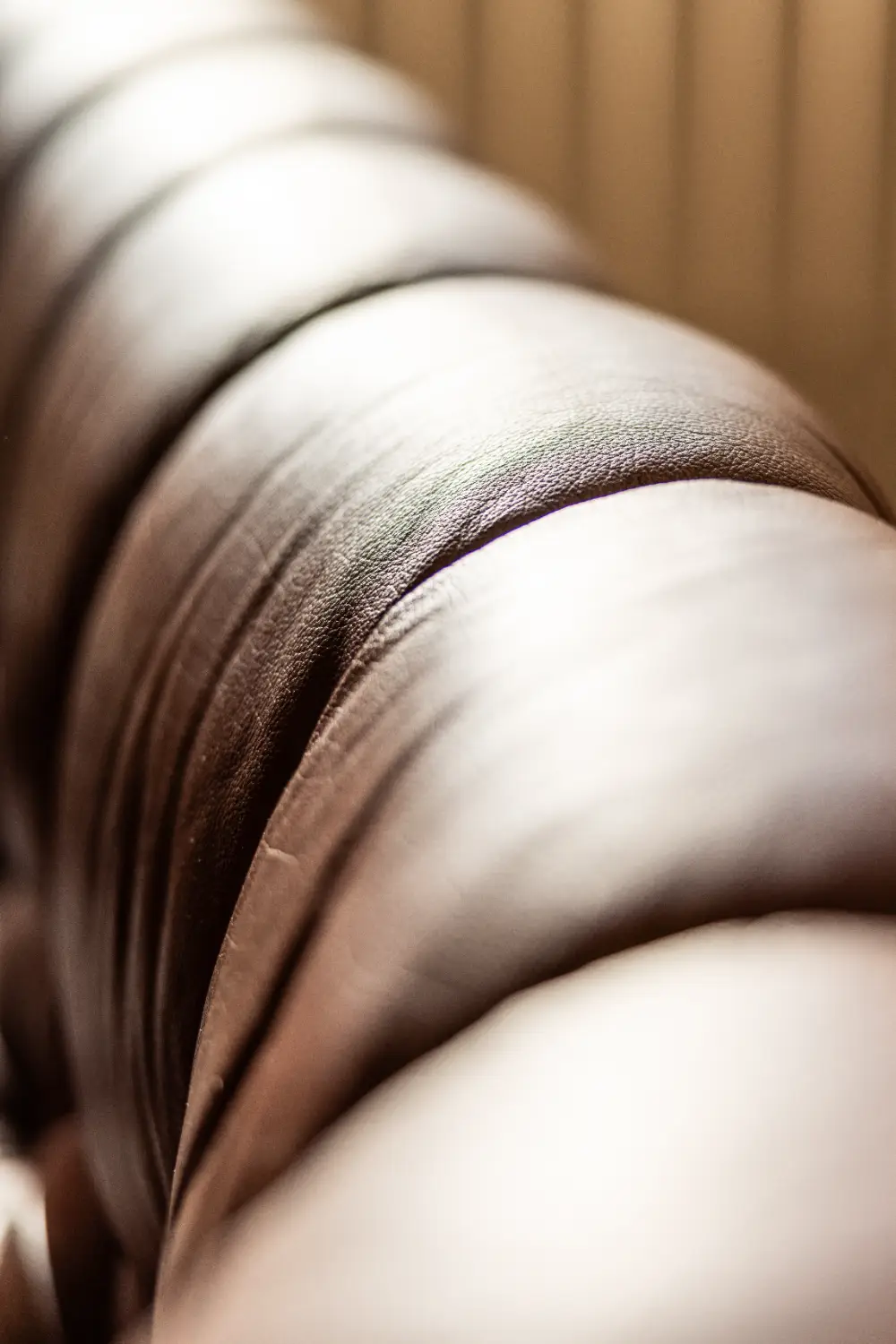 Ādas dīvāns CHURCHILL, brūns