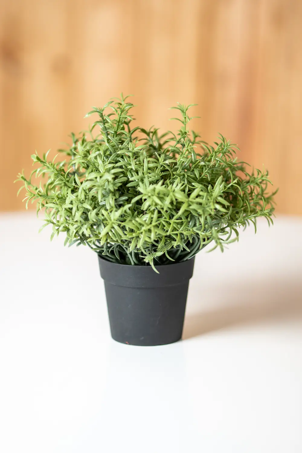 Mākslīgais augs ROSEMARY