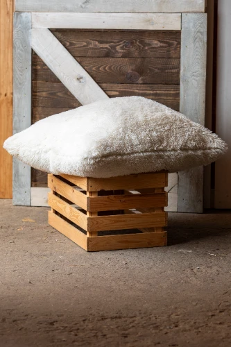 Spilvens SPL8, balts