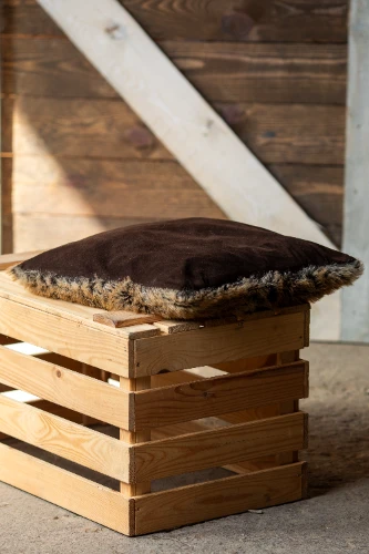 Spilvens SPL19, brūns