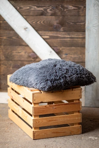 Spilvens SPL10, pelēks