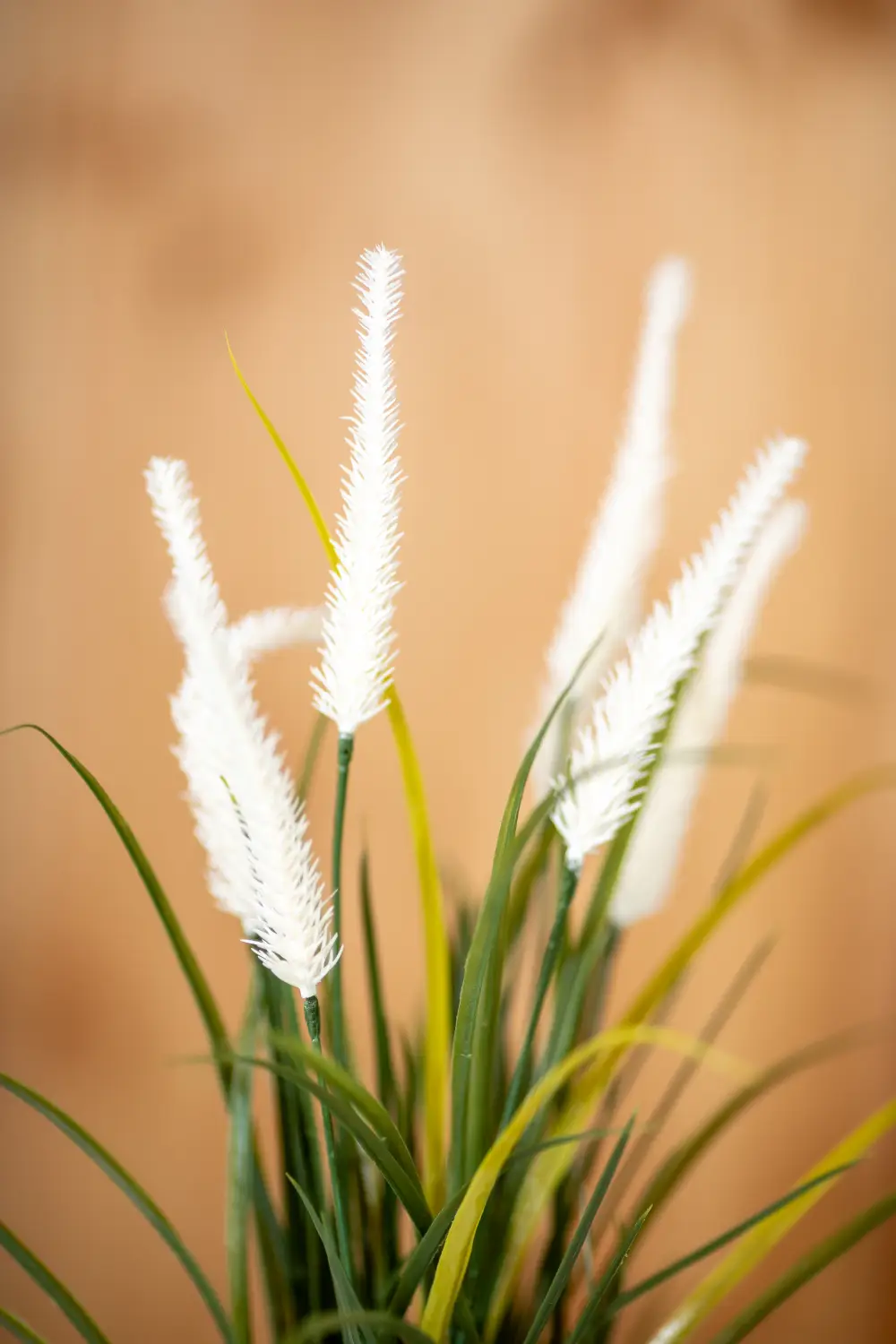 Mākslīgais augs CATTAIL GRASS