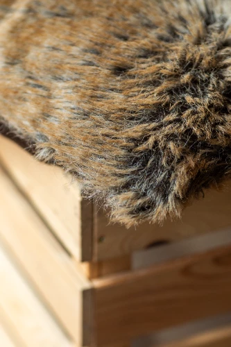 Spilvens SPL19, brūns