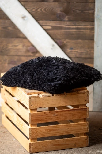 Spilvens SPL14, melns