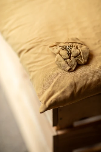 Spilvens SPL22, brūns