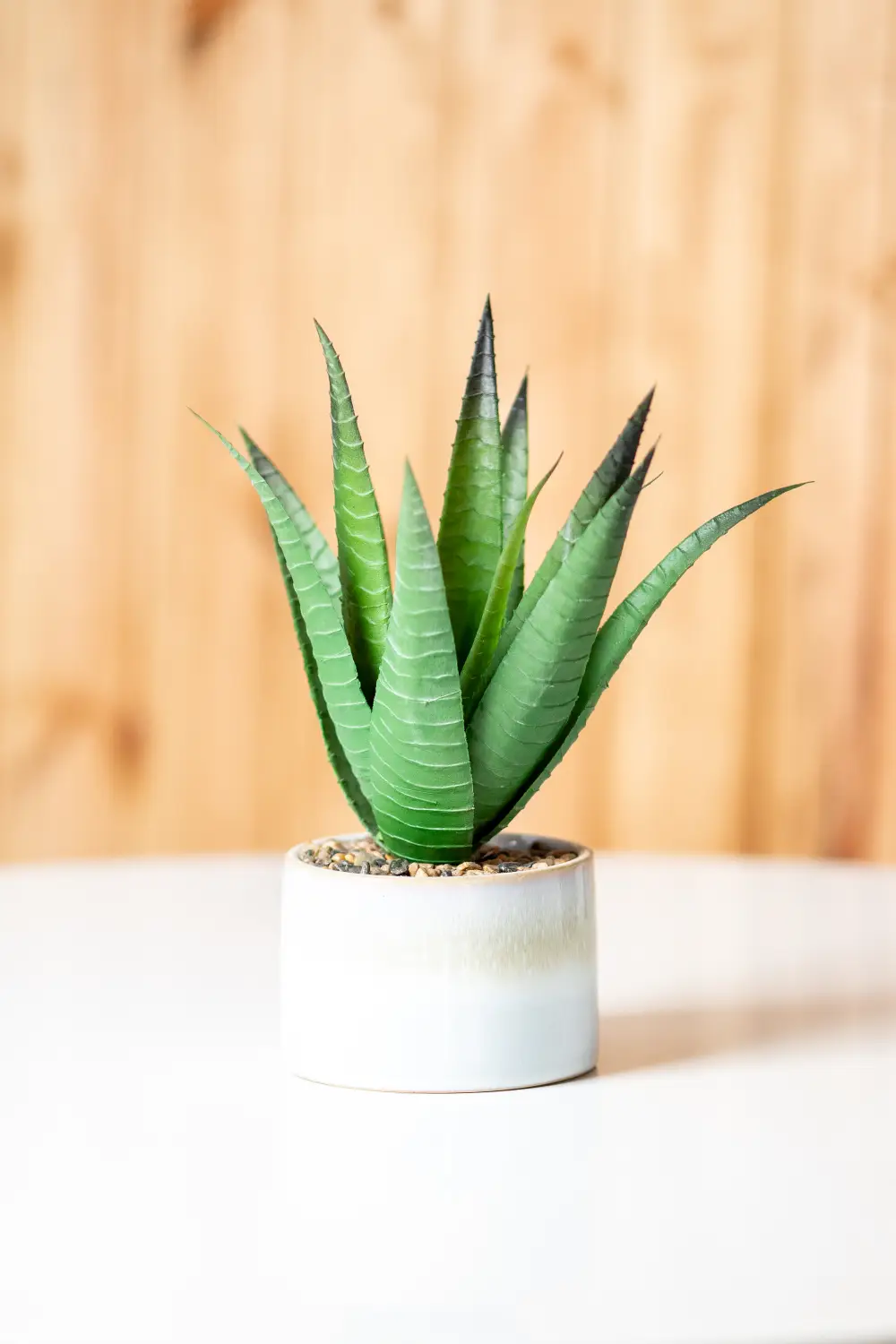 Mākslīgais augs ALOE VERA