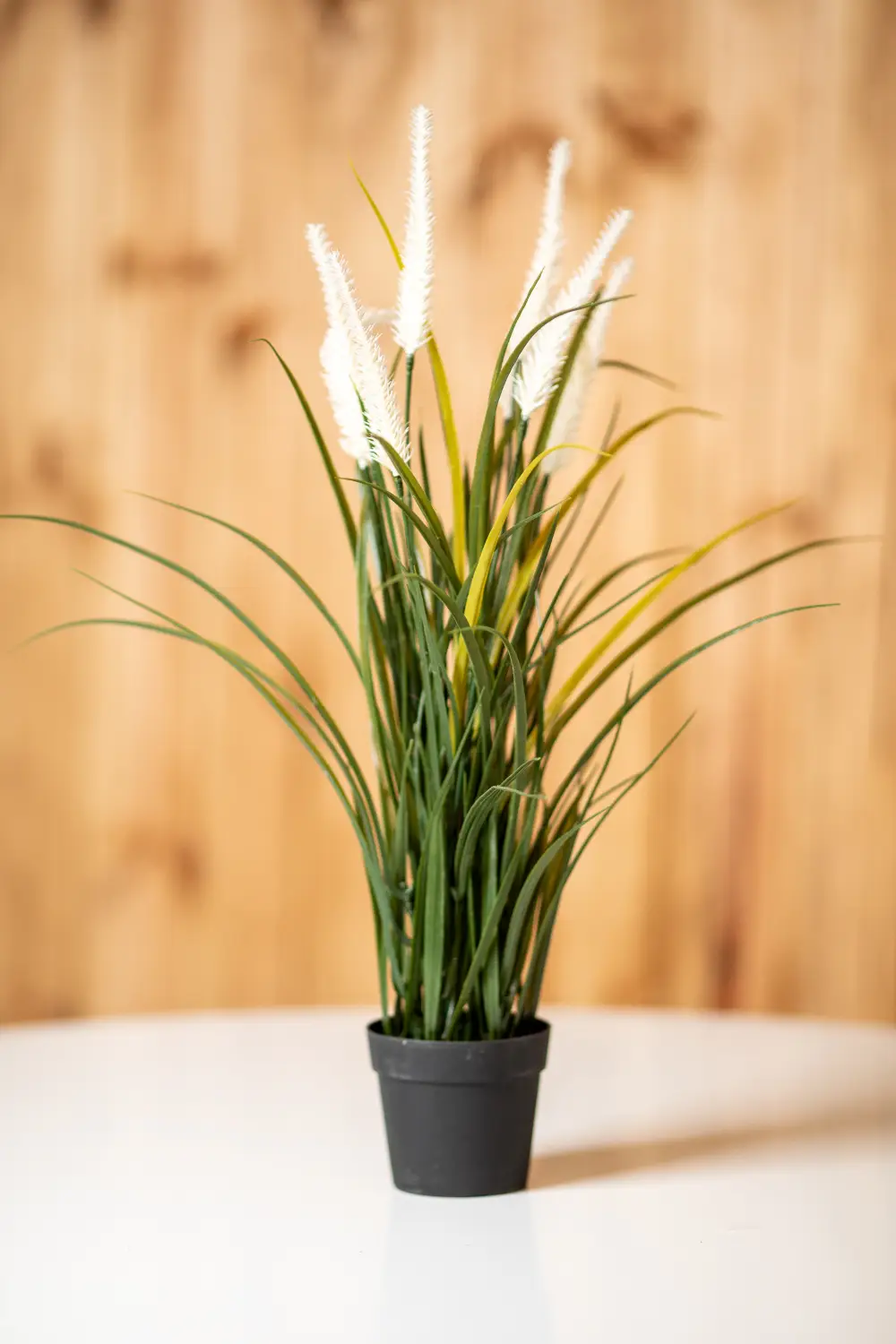 Mākslīgais augs CATTAIL GRASS
