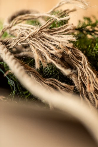 Trepes ar mākslīgajiem augiem un 3 spuldzēm