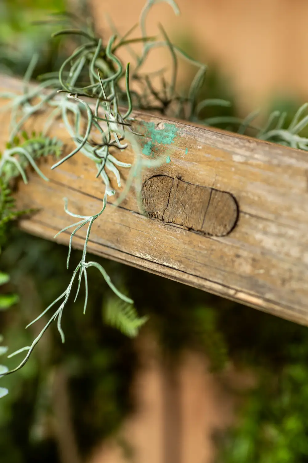 Trepes ar mākslīgajiem augiem un 3 spuldzēm