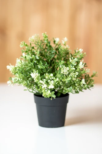 Mākslīgais augs THYME