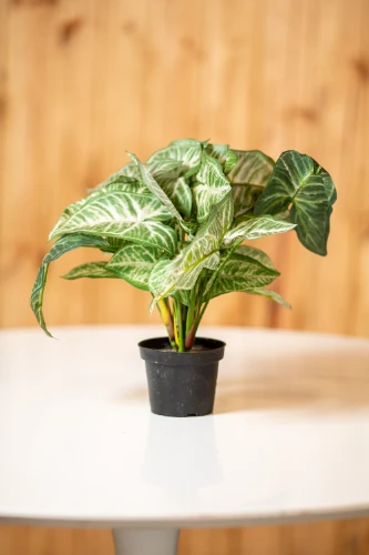 Mākslīgais augs PHILODENDRON